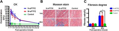 Heparin/Collagen-REDV Modification of Expanded Polytetrafluoroethylene Improves Regional Anti-thrombosis and Reduces Foreign Body Reactions in Local Tissues